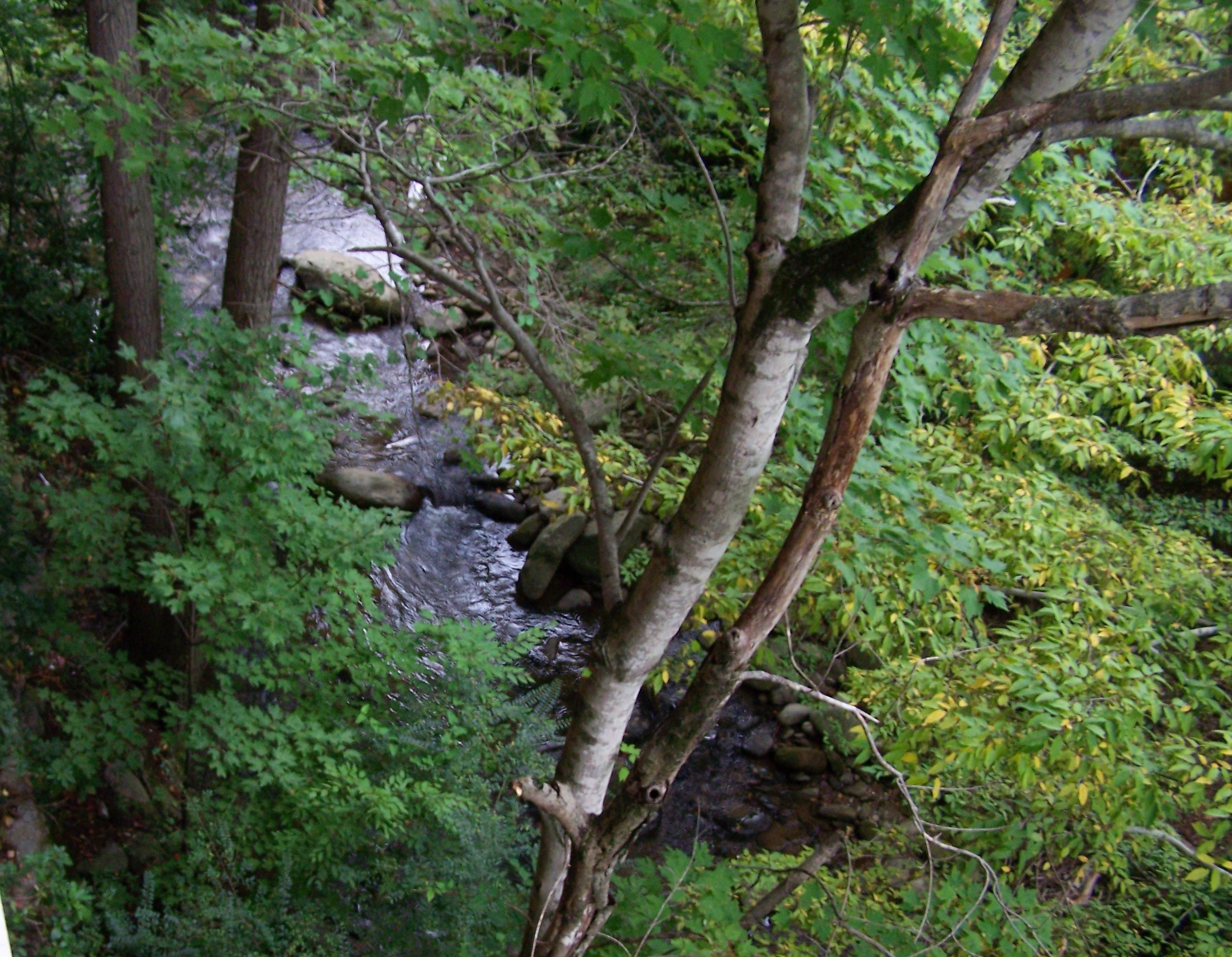The creek (crick) outside our balcony