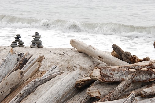 nature-1367682__340 driftwood